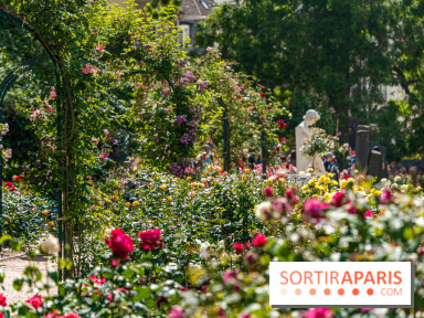 Photos La roseraie du Jardin des Plantes 
