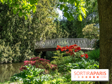 Arboretum de la Vallée-aux-Loups, une balade au milieu des arbres remarquables - A7C07780