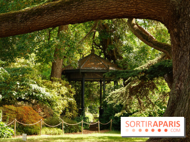 Arboretum de la Vallée-aux-Loups, une balade au milieu des arbres remarquables