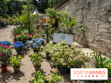 Jardins jardin aux Tuileries 2022