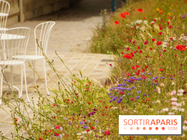 l'Île des Impressionnistes à Chatou