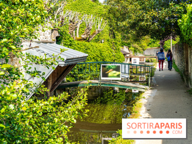 La promenade des petits ponts dans la vallée de Chevreuse -  A7C3889