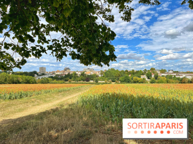 Houdan, ville médiévale et balade historique dans les Yvelines