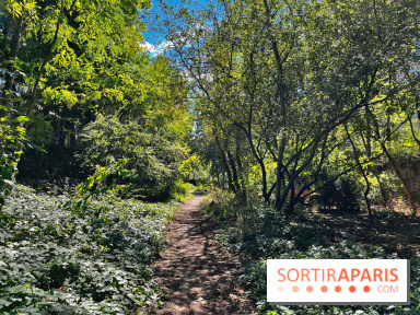 Balade sur la Petite Ceinture du 14 au 16e arrondissement : un sentier nature dépaysant