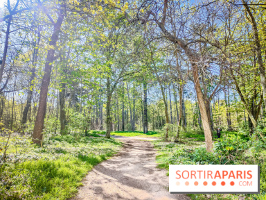 Visuels Paris - forêt bois de Boulogne nature soleil printemps