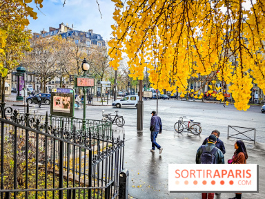 Visuels Paris - métro automne arbre