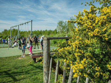 Le parc départemental des Lilas, le grand parc arboré de Vitry-sur-Seine (94) 