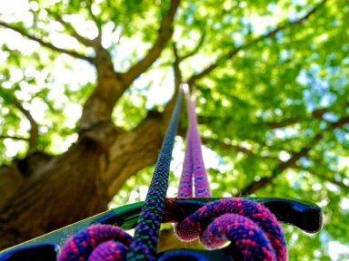 Plaine forme, le parc d'accrobranche de Coubron