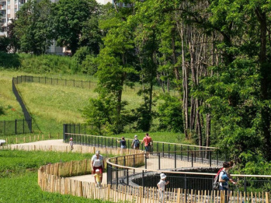 Parc de la Sapinière