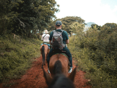 Balade cheval forêt Fontainebleau