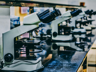 visuel sciences