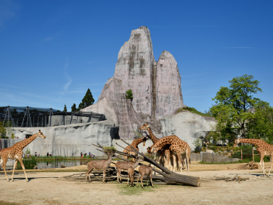 Le Parc zoologique de Paris - Zoo de Vincennes 