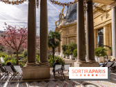 Petit Palais - Collection permanente  -  jardin