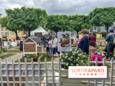 Esprit Jardin à Versailles - Marché aux plantes et animations  - IMG 6140