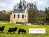 Domaine National de Port-Royal des Champs dans les Yvelines