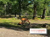 Espace Rambouillet