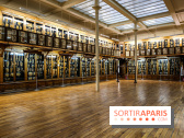 Musée des Moulages à Paris, nos photos