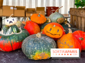 Automne au Potager du Roi - Citrouilles - Halloween