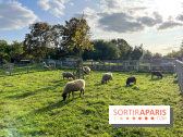 La ferme pédagogique du parc des Chanteraines