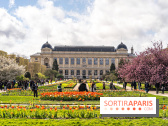 Visuel Paris 5e -  jardin des plantes - museum - printemps - cerisiers