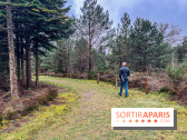 Arbor&Sens, l'Arboretum de Franchard en forêt de Fontainebleau - les photos