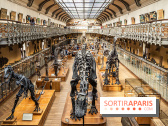 La Galerie de Paléontologie et d'Anatomie comparée du Muséum au Jardin des Plantes -  A7C7462