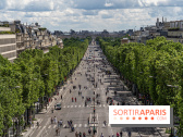 Grand pique nique des Champs-Élysées - photos
