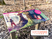 Balade sentier : Conte de Mélida, l'esprit de la forêt en forêt de Méridon (78)