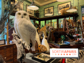 Deyrolle, l'incroyable cabinet de curiosités à Paris - nos photos