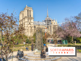 Le Square Viviani devant Notre-Dame de Paris