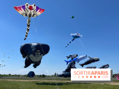 Festival de Cerfs-Volants à la Base 217