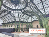 Grand Palais, visuels du monument parisien