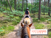 Balade en chevaux Henson en forêt de Fontainebleau