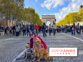 La Marche des animaux à Paris : défilé gratuit, ouvert aux chiens, chats ... sur les Champs-Élysées
