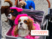 La Marche des animaux à Paris : défilé gratuit, ouvert aux chiens, chats ... sur les Champs-Élysées