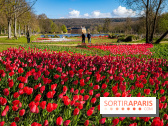 Les tulipes du Château de Dampierre, son jardin anglais et le jardin Le Nôtre - IMG 2883