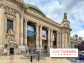 Tour Auto 2026 : plus de 230 voitures de collection s'exposent sous la verrière du Grand Palais