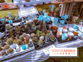 Eden, la Fête des Plantes du Château de la Roche Guyon - photos