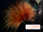 Plumes de Paradis, l'expo au musée du Quai Branly - nos photos