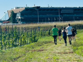 2ème édition du Viti-trail de 10 km du Domaine de Paris Gravelle Dimanche 6 septembre 2026