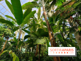 Automne tropical 2026