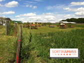 Les labyrinthes de la Ferme de Gally