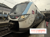Ligne P perturbée cet été : 6 semaines de travaux en Seine-et-Marne