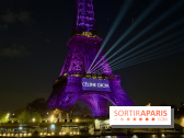Céline Dion en concert à Paris La Défense Arena : dates, prévente... tout ce qu'il faut savoir