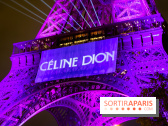 Céline Dion en concert à Paris, pourquoi la jaune est réduite ?