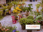Jardins en fête à Auvers 91