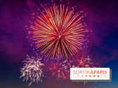 Après l'Essonne, les Yvelines, le Val d'Oise et la Seine-et-Marne interdisent les feux d'artifice