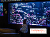 L'Aquarium Tropical de la Porte Dorée se renouvelle 