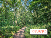 Les Nuits des Forêts 2023 dans le Val-d'Oise (95) : Le programme