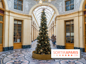 11 spots photos de Noël canons à Paris 2023 pour profiter des illuminations magiques - galerie Vivienne